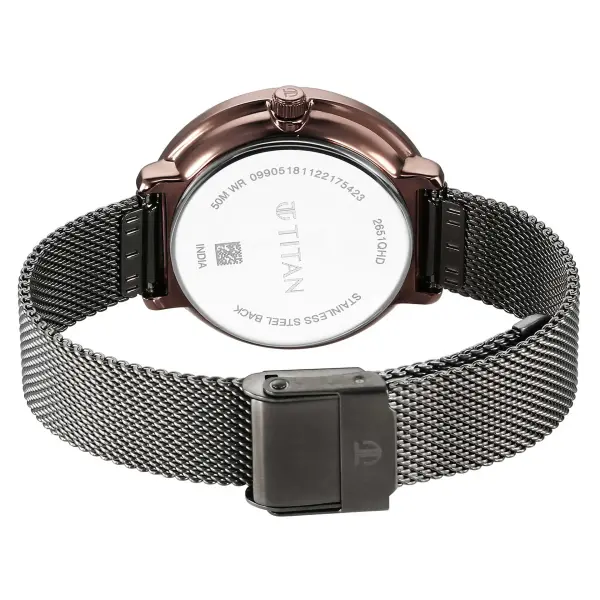 TITAN WATCH 1849KM01-DN221