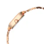 TITAN WATCH 2598WM04