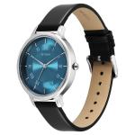 TITAN WATCH 2732SL01