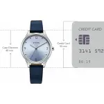 TITAN WATCH 2781SL02