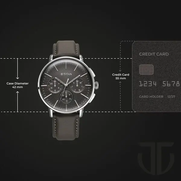 TITAN WATCH 90200SL02