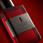 ANTONIO BANDERAS THE SECRET TEMPTATION EDT 100ML (M