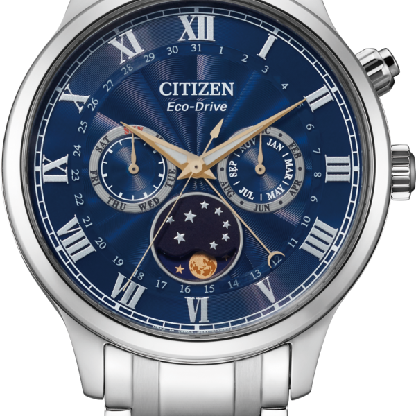 CITIZEN WATCH AP1050-81L