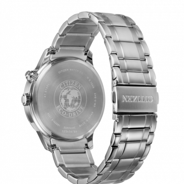 CITIZEN WATCH AP1050-81A