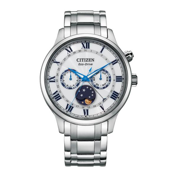 CITIZEN WATCH AP1050-81A