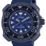 CITIZEN WATCH BN-0227-09L