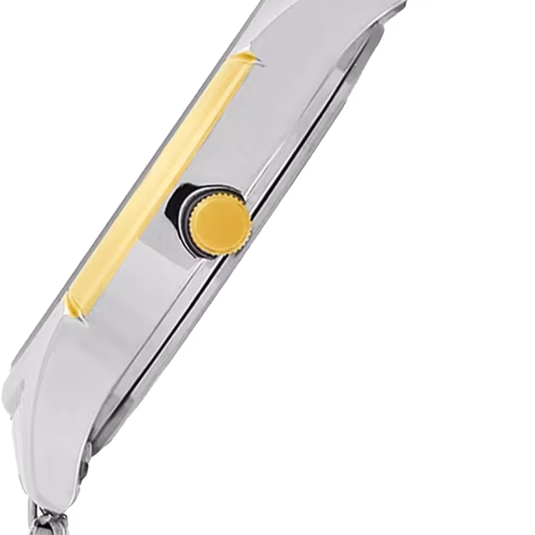 TITAN WATCH 1636BM01-DE813