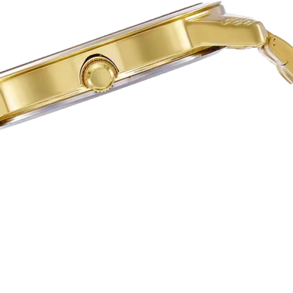 TITAN WATCH 1774YM01
