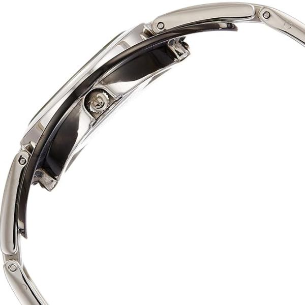 TITAN WATCH 2504SM02-DC435
