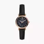 FOSSIL WATCH