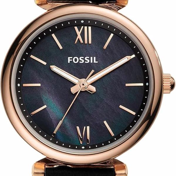 FOSSIL WATCH