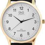 Q AND Q WATCH