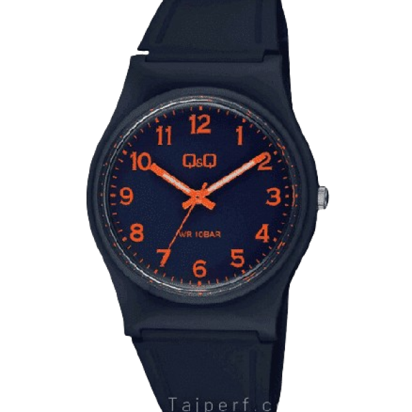 Q AND Q WATCH