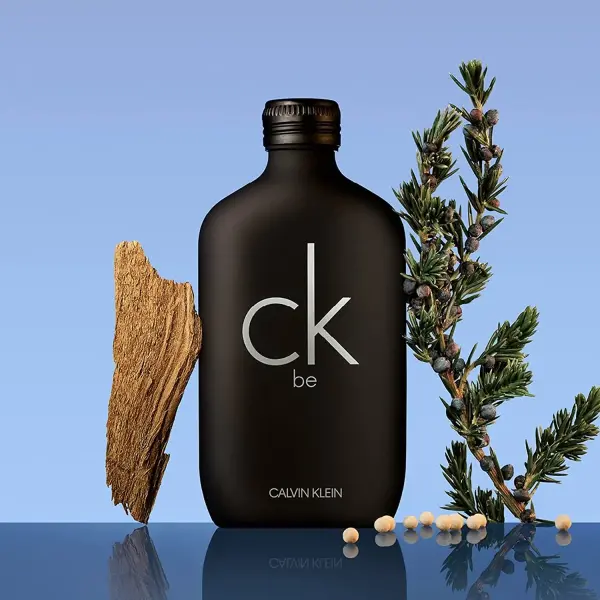 CALVIN KLEIN BE EDT SPRAY 100ML