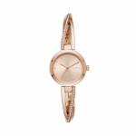 DKNY WATCH NY2831