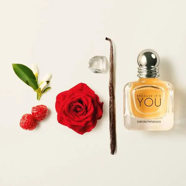 GIORGIO ARMANI EMPORIO BECAUSE ITS YOU HER EDP 100ML (W)