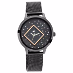 TITAN WATCH NP6210NM03-DK345