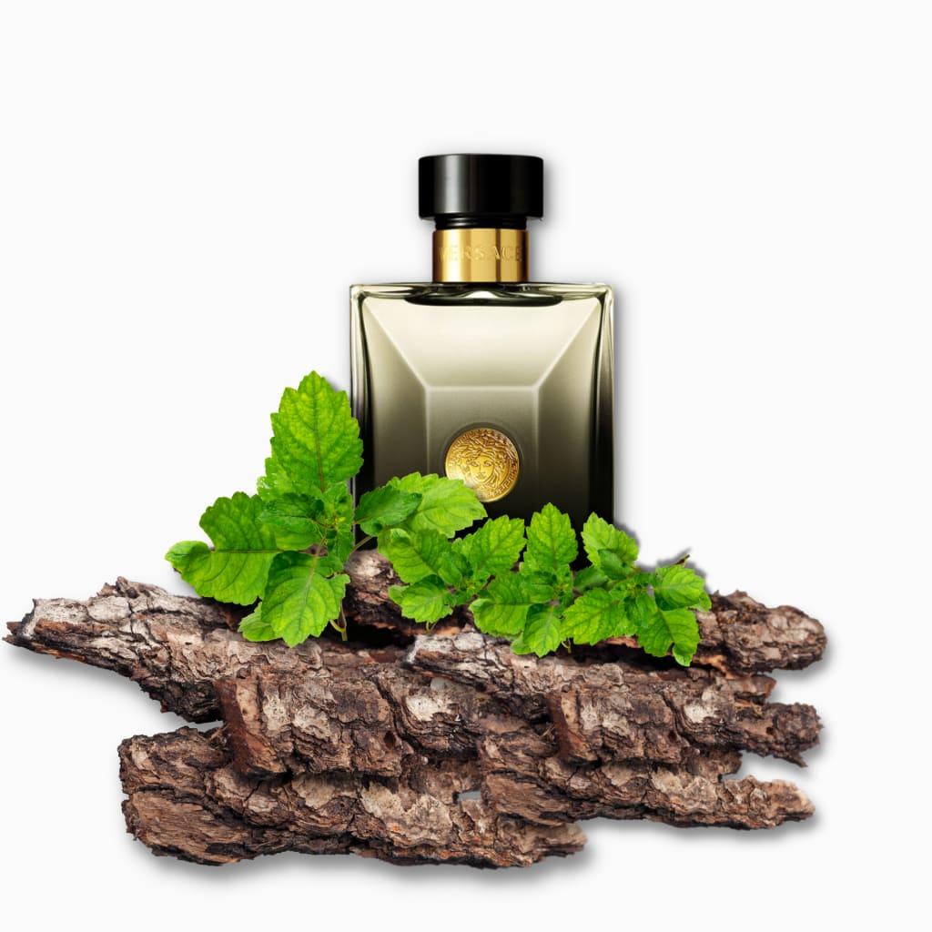 VERSACE OUD NOIR EDP 100ML