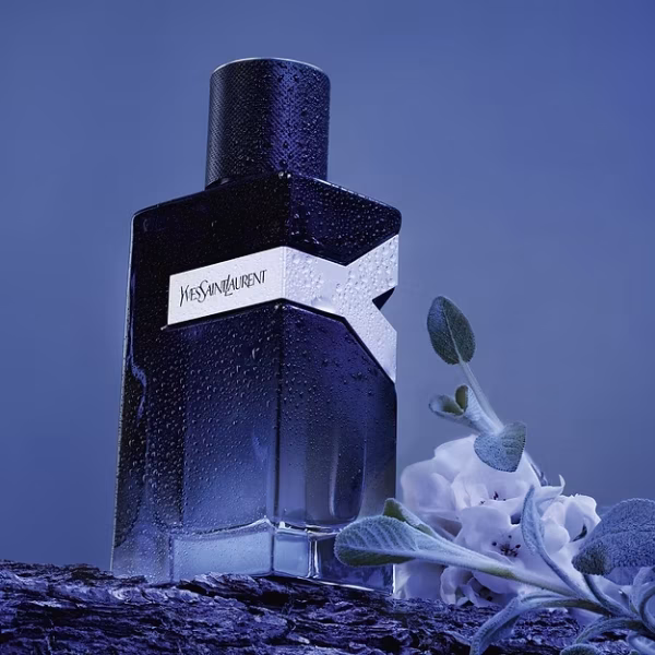 YVES SAINT LAURENT Y MEN EDP INTENSE 100ML